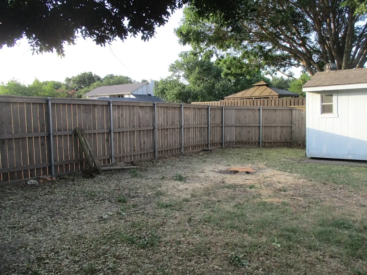 Cleared yard after professional tree removal in Kutztown